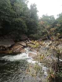 4 Days Trip in Cairns