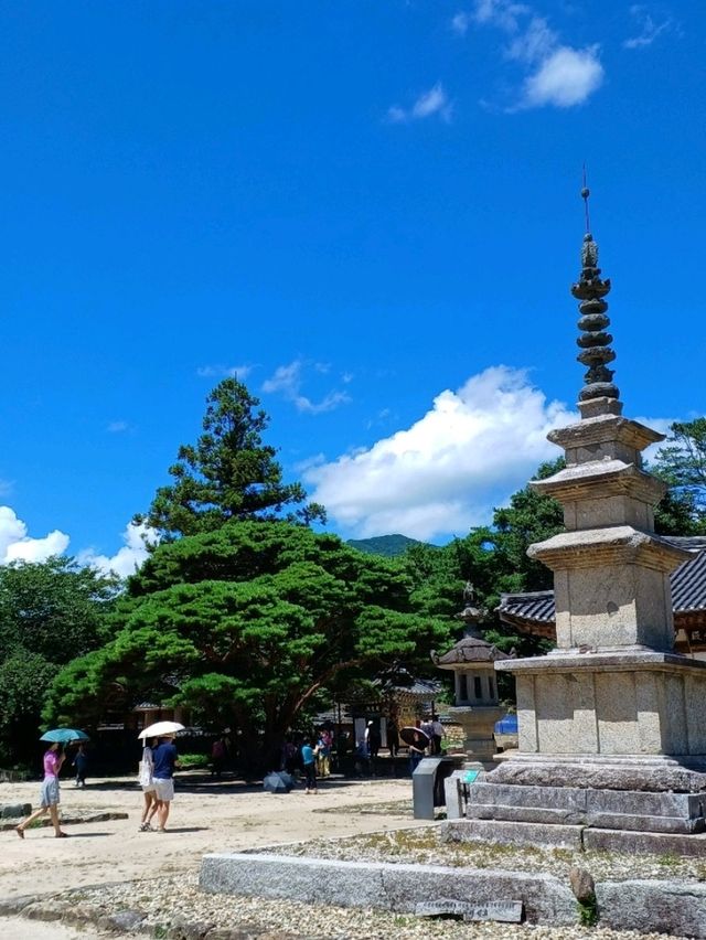 아침 산책은 보너스 선물같아요 🌞