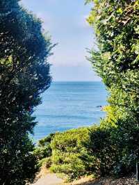 An Accessible Walk Blending Nature, History, and Hidden Gems
