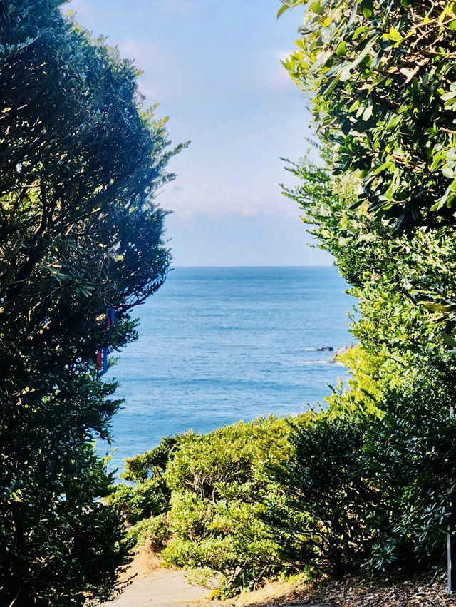 An Accessible Walk Blending Nature, History, and Hidden Gems