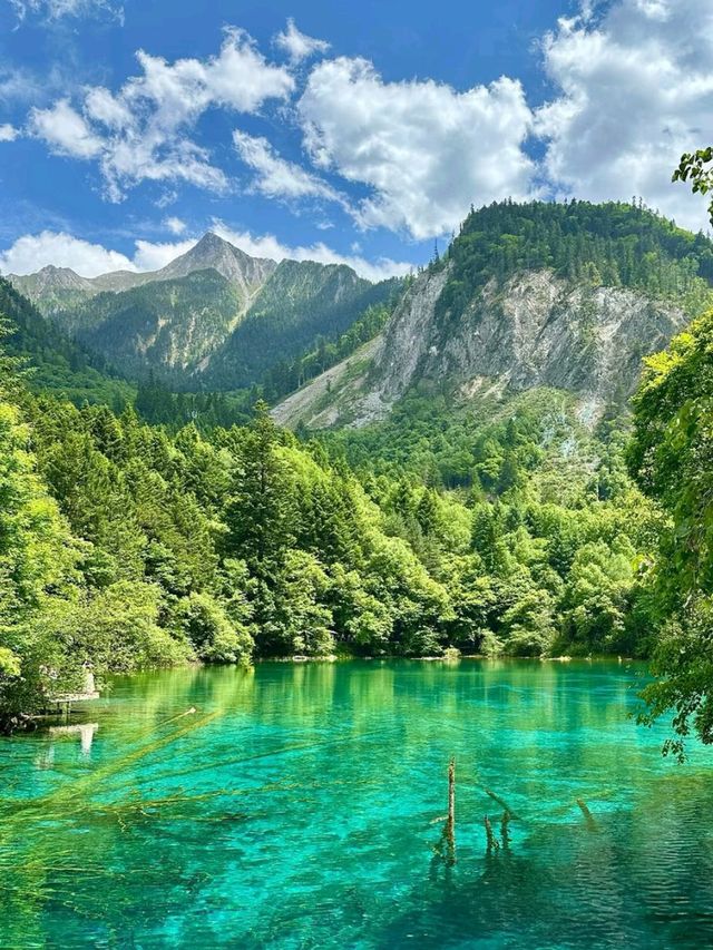 The Enchanted Valley: Exploring the Beauty of Jiuzhaigou