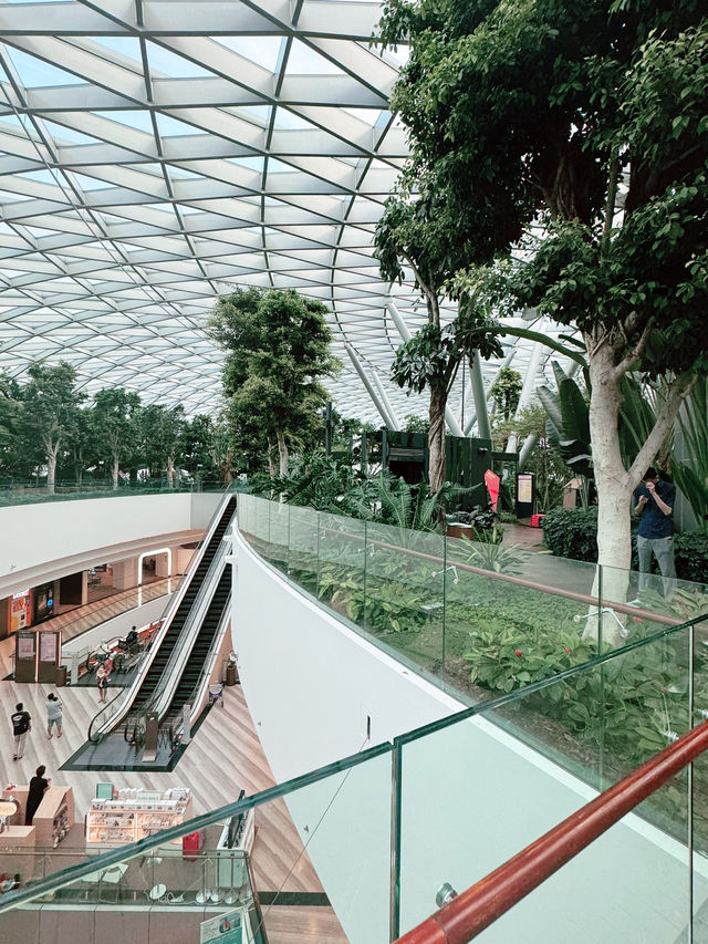 ✨A Layover That Felt Like a Vacation – My Amazing Experience at Changi Airport ✨