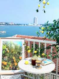 Not Italy—It’s Qingdao! 🍋🌿 Seaside Lemon Café Vibes