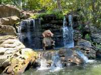 The fun Jungle River Cruise in HK Disneyland