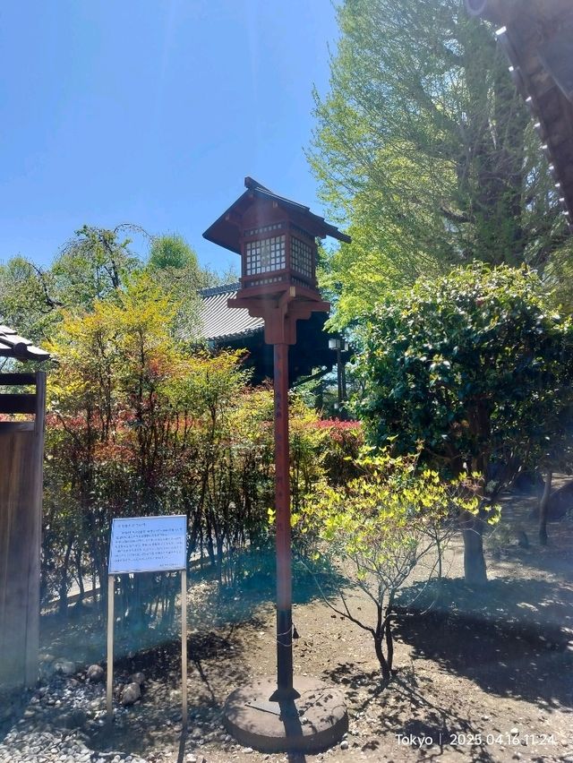 สุ่มเครื่องราง 東叡山寛永寺開山堂 Ueno park