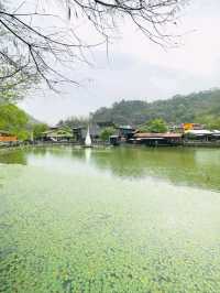 Step Into Nostalgia at Checheng Wood Museum