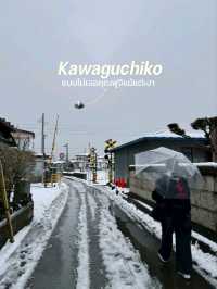 Kawaguchiko 🏔 ในวันที่อากาศไม่เป็นใจ
