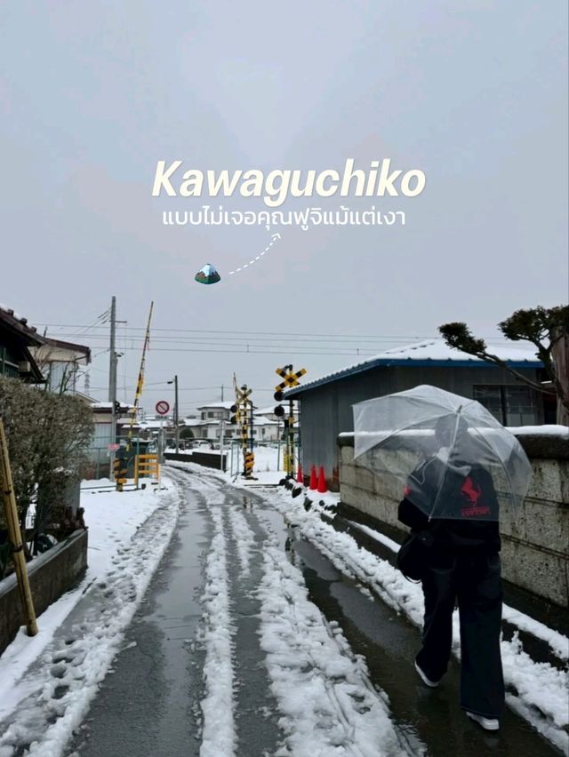 Kawaguchiko 🏔 ในวันที่อากาศไม่เป็นใจ