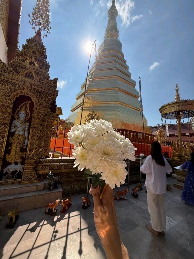 ไปถึงแพร่ทั้งที ไหว้พระธาตุช่อแฮ  ไปถึงแพร่ทั้งที ไหว้พระธาตุช่อแฮ
