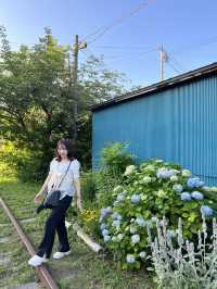  “ここ行きたい！”が詰まった、北海道おすすめ旅ガイド🧳📍