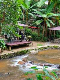 คาเฟ่ สัมผัสธรรมชาติ ที่ปางไฮ