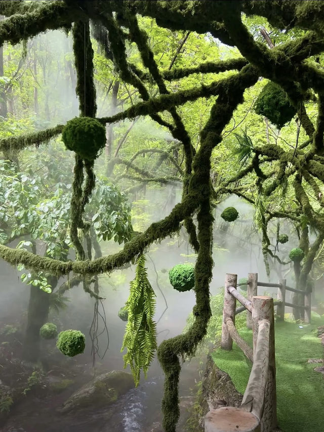 【重渡溝】終極遊玩攻略 | 北國小九寨溝嘅竹林秘境 🎋 【重渡溝】終極遊玩攻略 | 北國小九寨溝嘅竹林秘境 🎋
