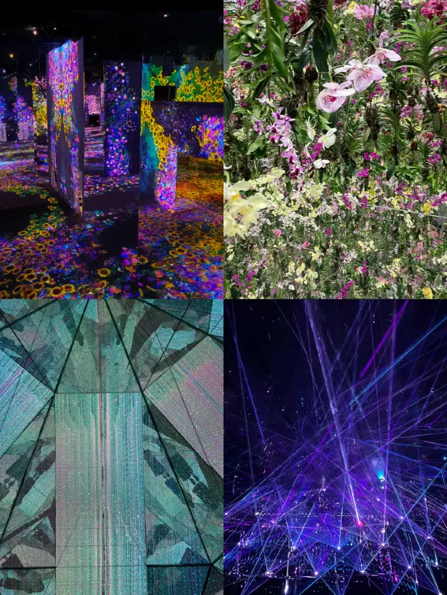 澳門｜Teamlab