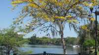 奧蘭多伊歐拉湖邊公園