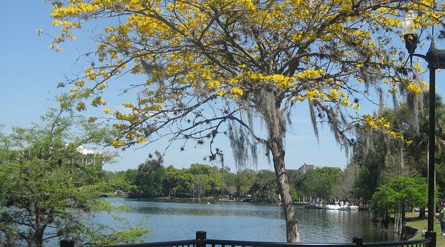 奧蘭多伊歐拉湖邊公園