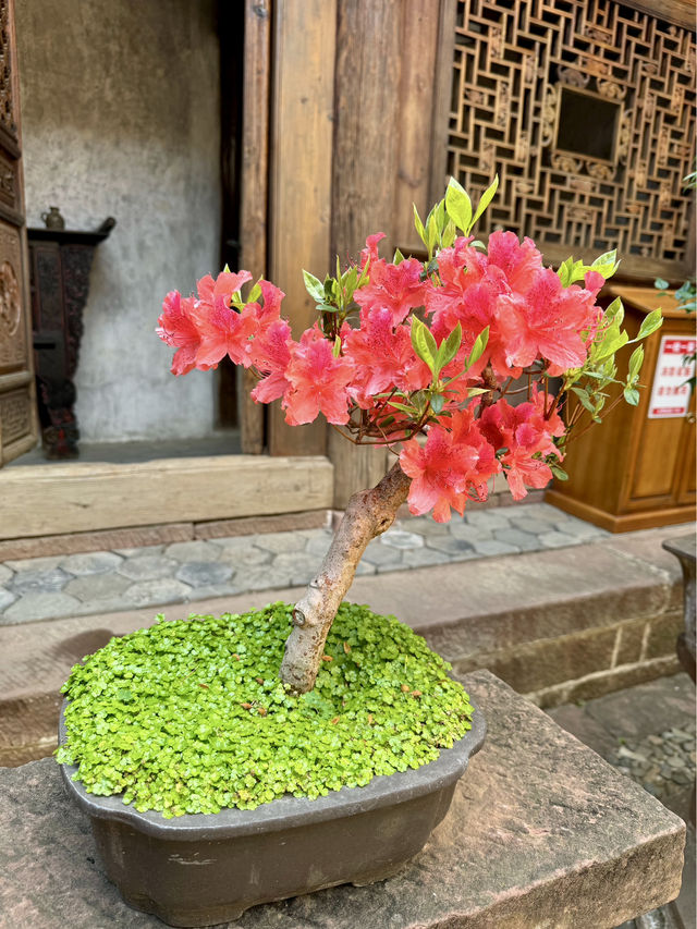 🏯 Ouyang Courtyard – A Hidden Glimpse into Shaxi’s Past