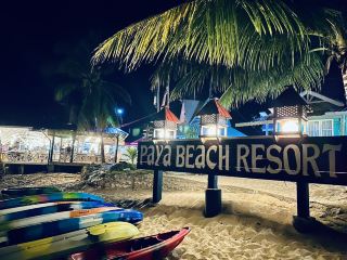 When starlight falls, the island's night truly begins.