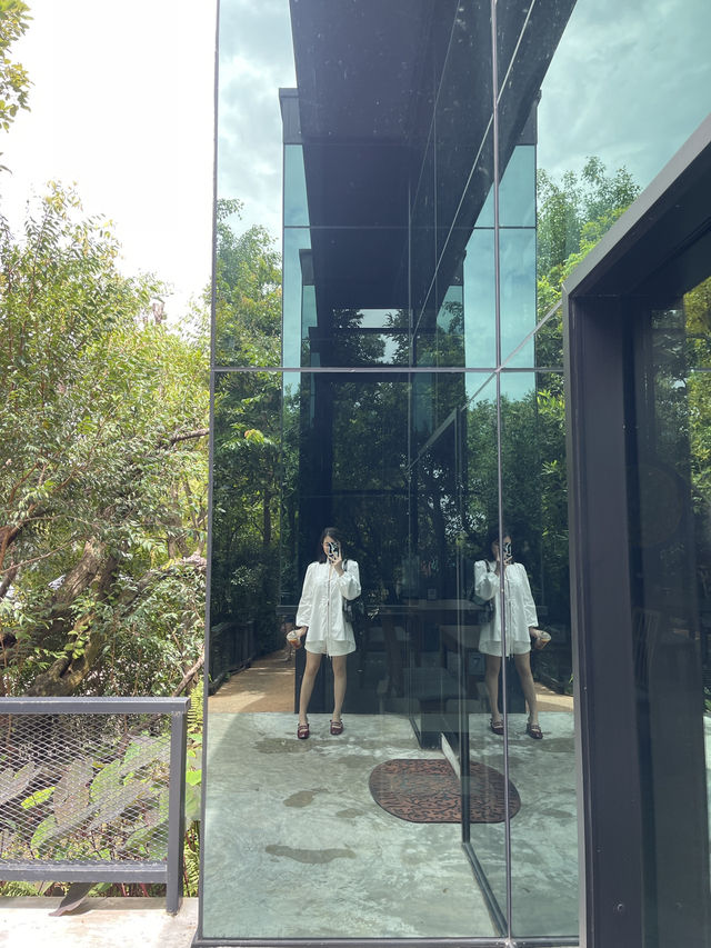 หนีจากความวุ่นวาย…สู่ cafe ป่า