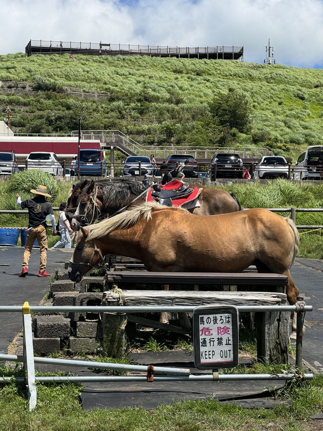 Escape to Aso 🌿 Stunning Grasslands  Escape to Aso 🌿 Stunning Grasslands