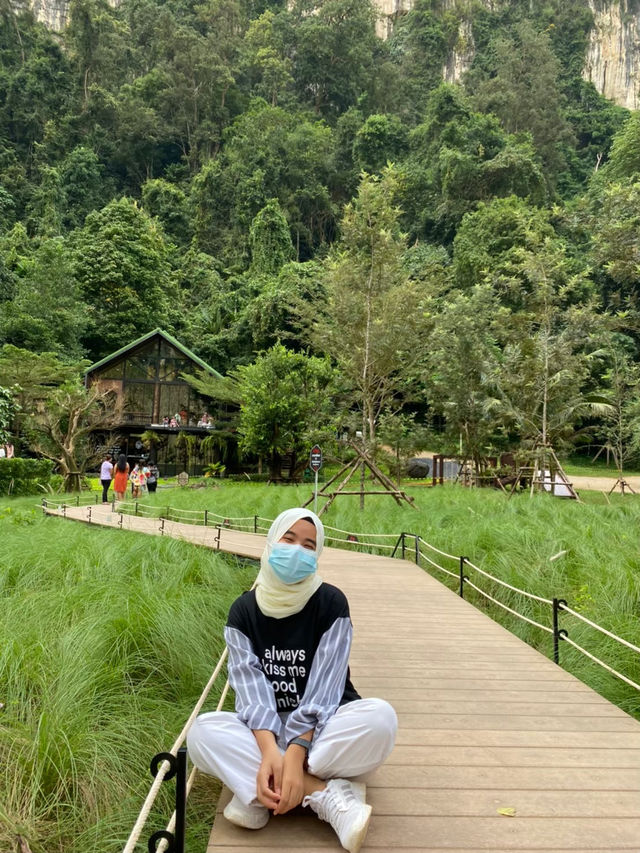Into the forest 🌳🎍