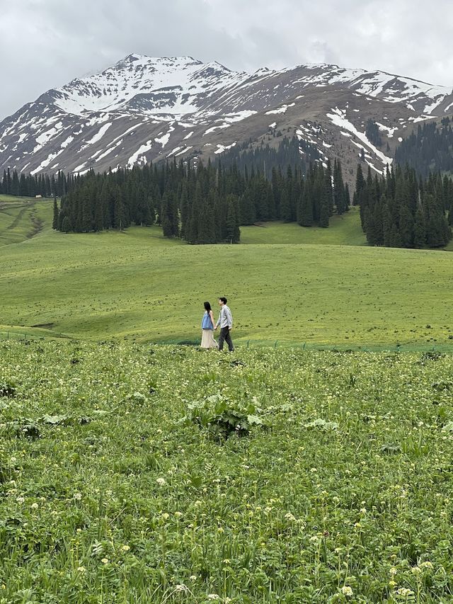 Discover the Magic of Nalati Grassland