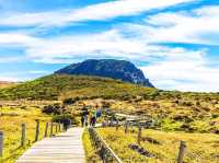 🏞️ 한라산 국립공원 – 제주의 심장을 품은 하늘정원