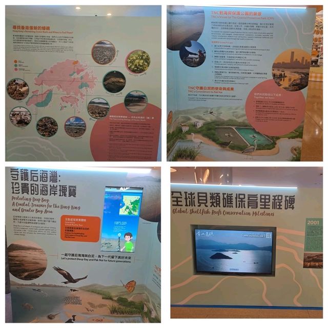 滄海遺珠展覽參觀的個人感受