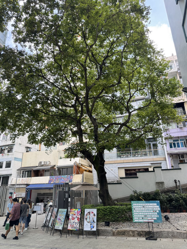 中環PMQ：週末最佳偷閒文化之地