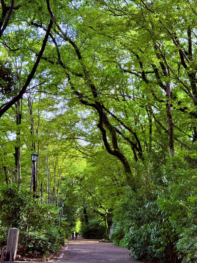熱田神宮 熱田神宮