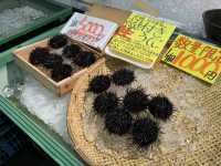 日本ToreTore市場南紀白浜