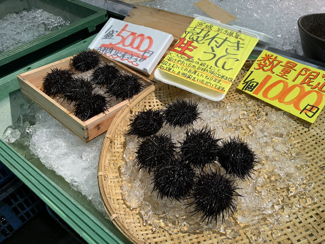 日本ToreTore市場南紀白浜