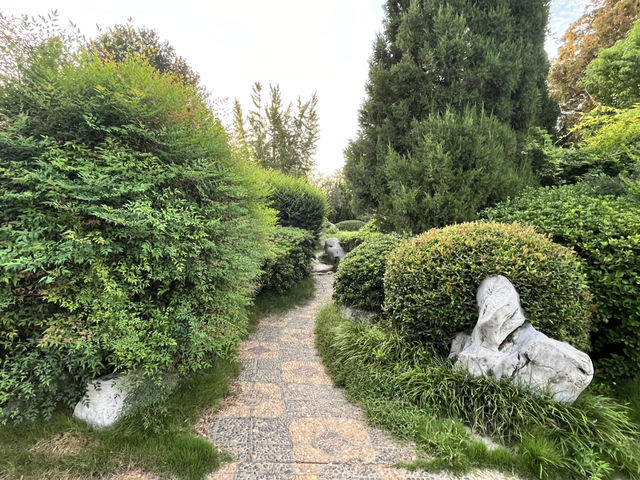 🕰🌳 Zhengzhou People’s Park — The City’s Living Square