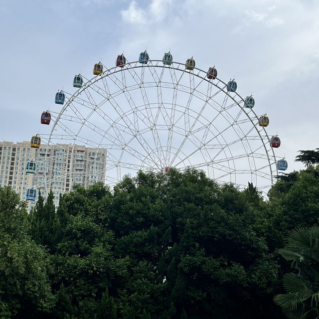🌳 Bishagang Park — Flowers, History & Local Life 🌳 Bishagang Park — Flowers, History & Local Life