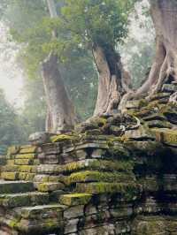 "When life hurts, Siem Reap heals."