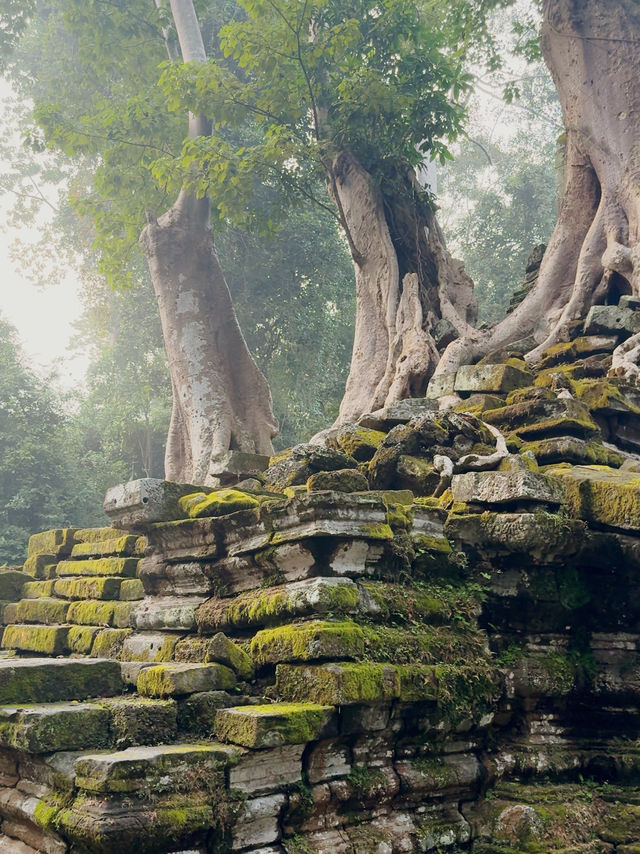 "When life hurts, Siem Reap heals."