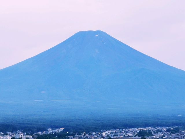 新倉富士浅間神社──忠靈塔下的富士絕景