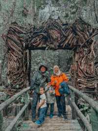 Mount Kinabalu Botanical Garden – A Hidden Gem at the Foot of the Mountain