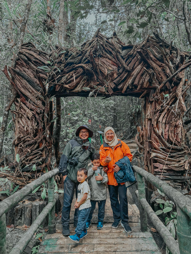 Mount Kinabalu Botanical Garden – A Hidden Gem at the Foot of the Mountain