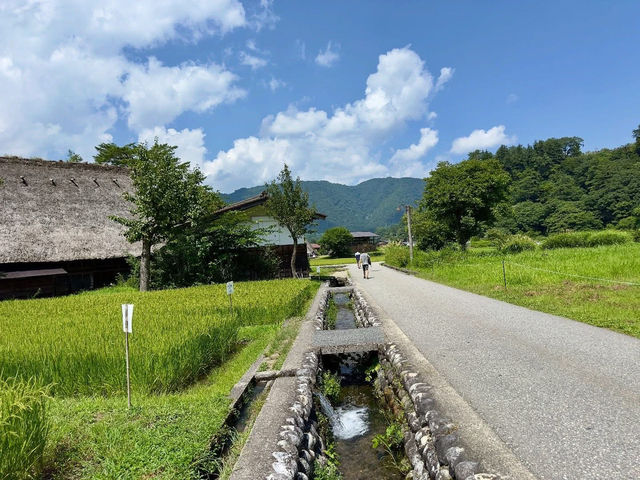 Shirakawa-Go ซัมเมอร์ เขียวๆฟ้าๆ 🇯🇵🌿✨