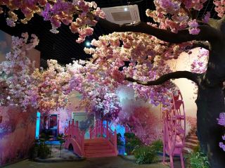 山東11日行程，青島入，濟南出，不走回頭路