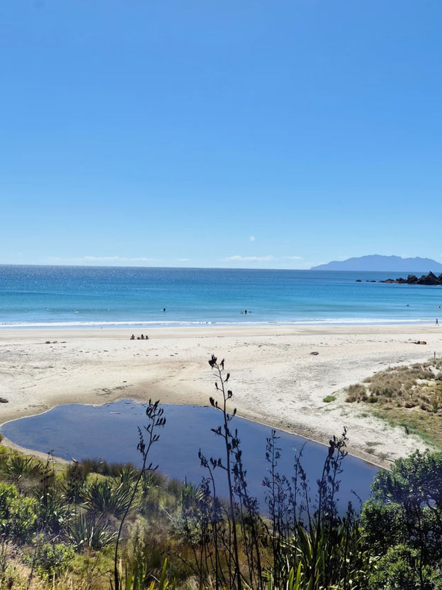 Revolving Around the Beauty of Nature: Trails – New Zealand 