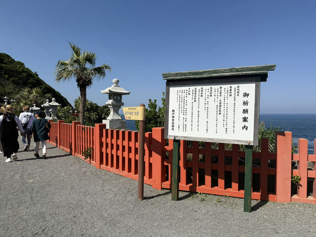 近距離欣賞日南太陽花園🏙️  
