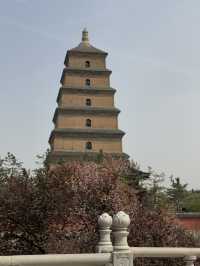 Pagoda Tranquility🌳