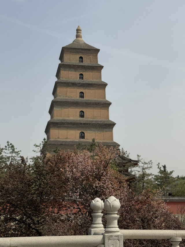 Pagoda Tranquility🌳 Pagoda Tranquility🌳