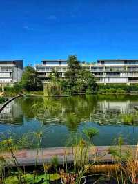 🌿 Jardin Botanique de Bordeaux – A Living Museum of Plants 🌸