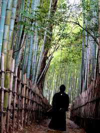 歴史ロマンを感じる竹林の小道