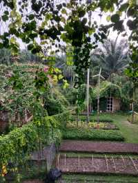 🌳✨ บ้านไร่ไออรุณ – สวรรค์เล็ก ๆ กลางหุบเขา ระนอง