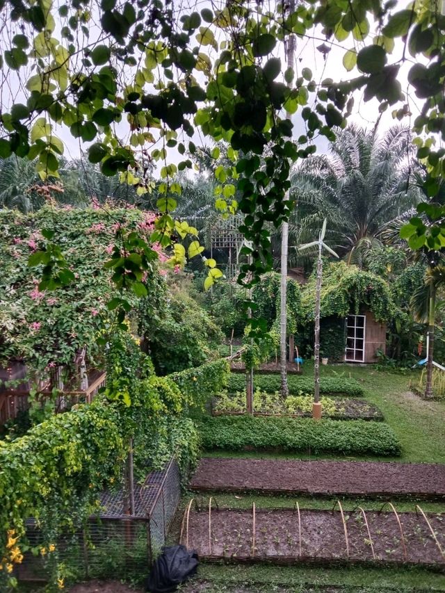 🌳✨ บ้านไร่ไออรุณ – สวรรค์เล็ก ๆ กลางหุบเขา ระนอง