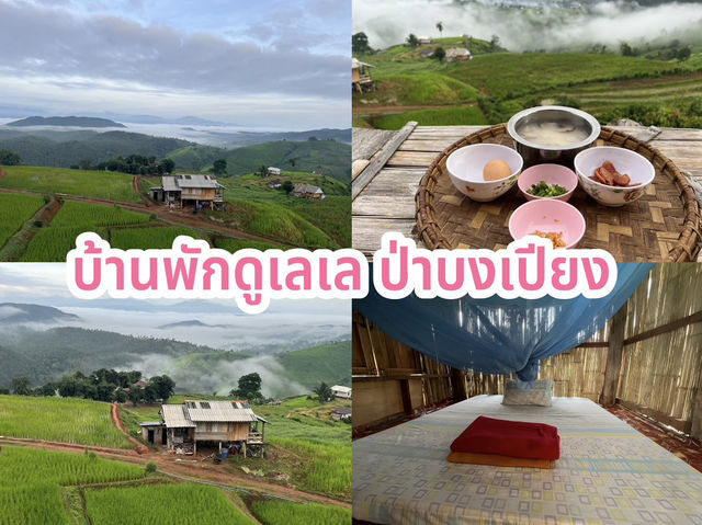 บ้านพักดูเลเล ป่าบงเปียง