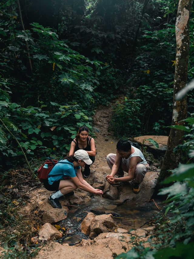 หุบเขา "ตีนไก่" บ้านนา จังหวัดนครนายก หุบเขา "ตีนไก่" บ้านนา จังหวัดนครนายก